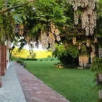 Apartman La Carolina *