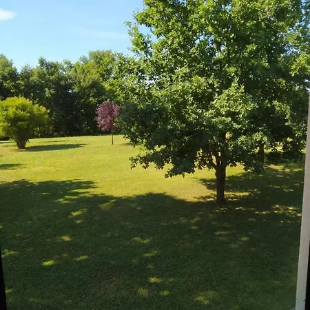 Guest House La Carolina Apartment *