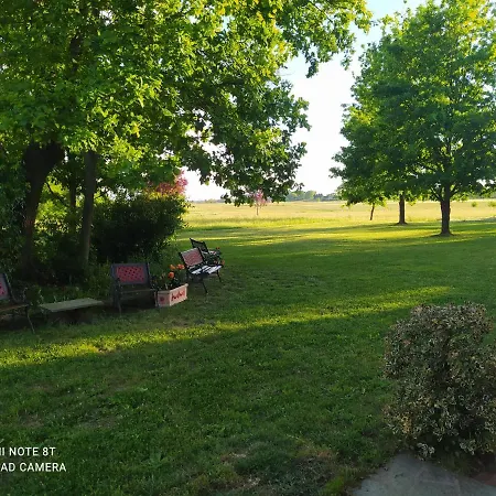 La Carolina Tigliole