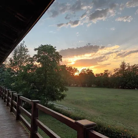 La Carolina Tigliole