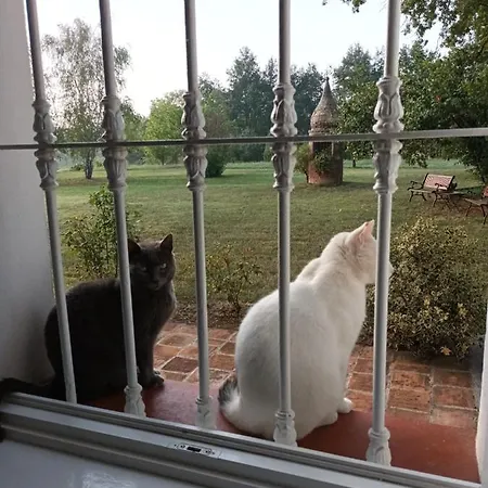 La Carolina דירה Tigliole