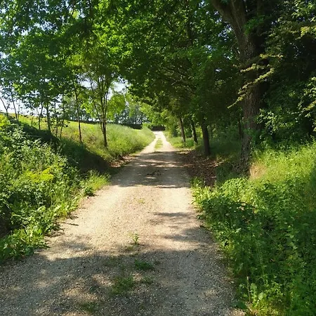 La Carolina * Tigliole