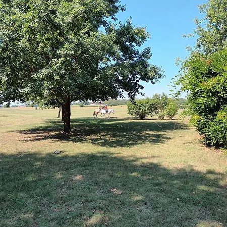 דירה La Carolina Tigliole