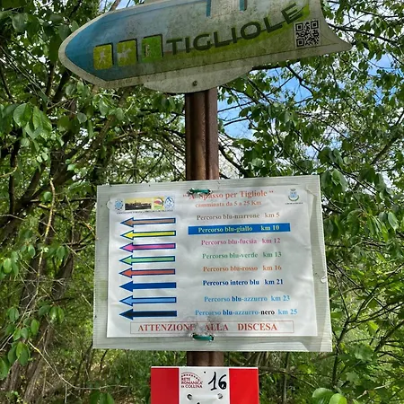 La Carolina Tigliole