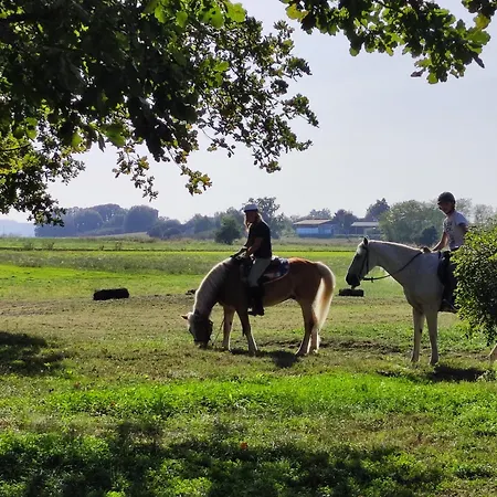 דירה La Carolina *