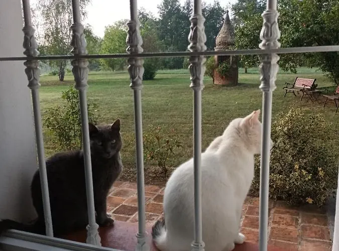 La Carolina Appartement Tigliole