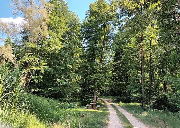 La Carolina Lejlighed