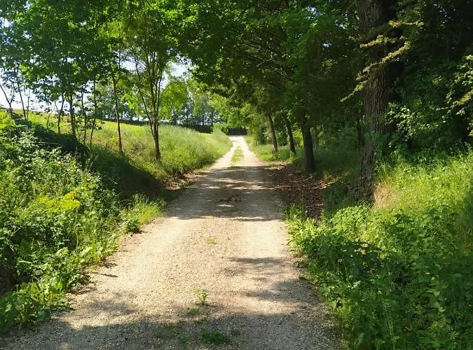 La Carolina * Tigliole