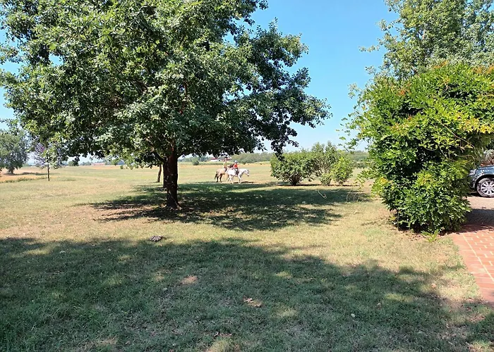 Appartement La Carolina Tigliole