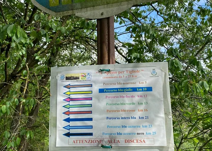 La Carolina Tigliole