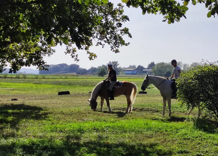 Appartement La Carolina *
